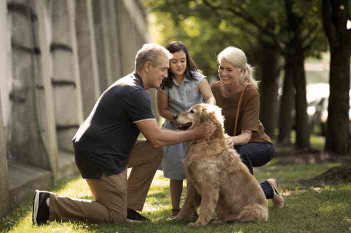 Abuelos y nieta juegan con un perro