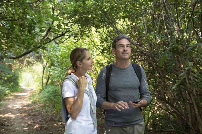 Una pareja camina en un bosque mirando un móvil