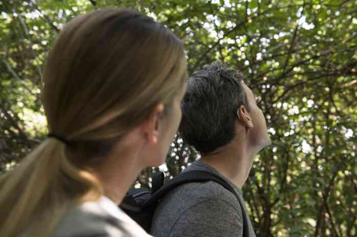 Perfil de mujer y hombre con audífono en un bosque